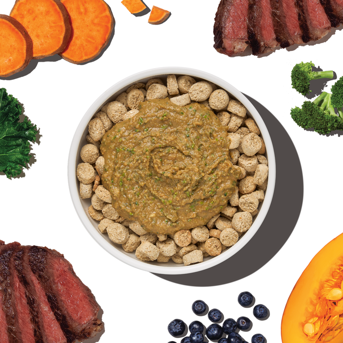 The Honest Kitchen Protein Plus Grain Free Beef Topper for Dogs