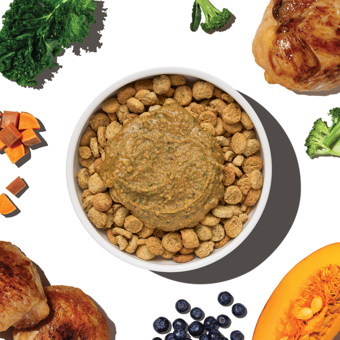 The Honest Kitchen Protein Plus Grain Free Chicken with Superfoods Topper