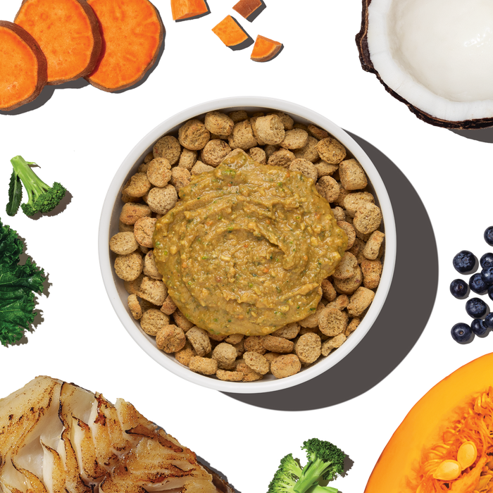 The Honest Kitchen Protein Plus Grain Free Fish Topper for Dogs