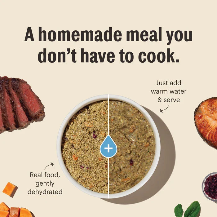 The Honest Kitchen Wholemade Whole Grain Fish & Oat Dehydrated Food