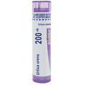 Urtica urens 200CK by Boiron