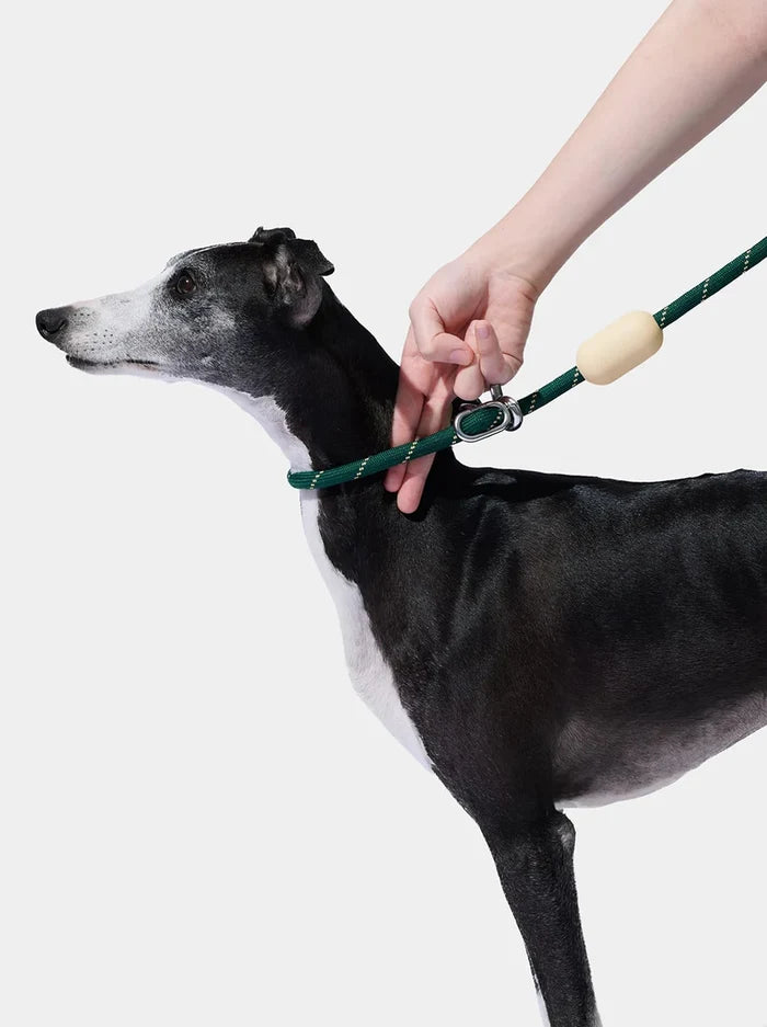 Vetreska Connect Hands-Free Rope Leash - Santal Forest