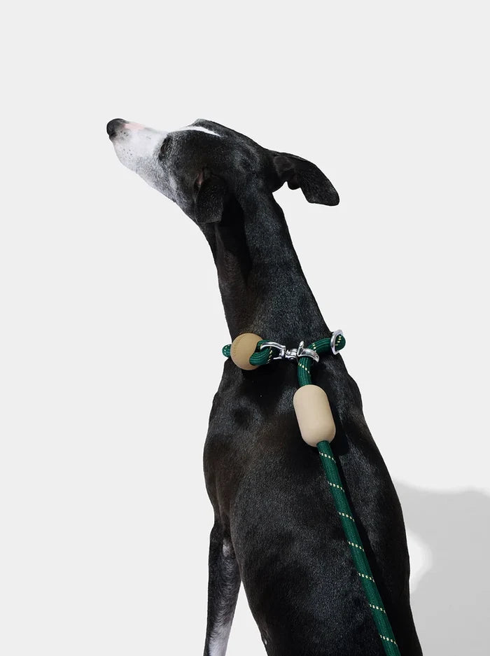 Vetreska Connect Hands-Free Rope Leash - Santal Forest