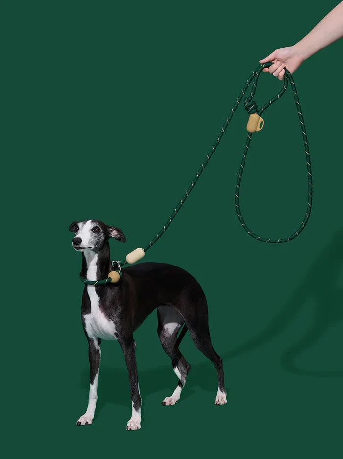 Vetreska Connect Hands-Free Rope Leash - Santal Forest