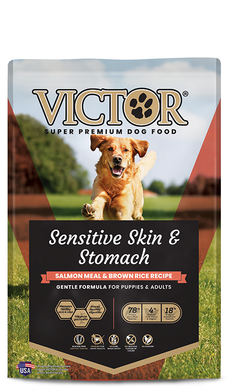 Victor Pet Sensitive Skin & Stomach Salmon Meal & Brown Rice Recipe Dry Dog Food