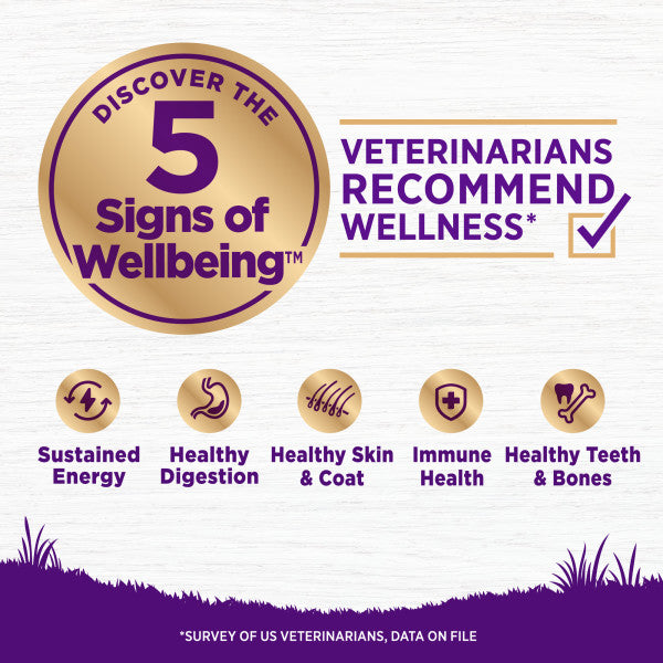 Wellness Complete Health Grain Sensitive Skin & Stomach Salmon & Rice Recipe Dog Food