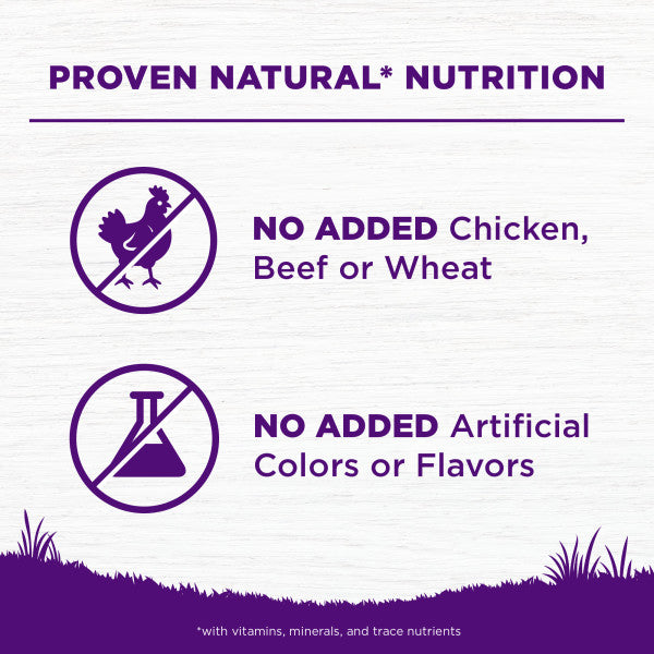 Wellness Complete Health Grain Sensitive Skin & Stomach Salmon & Rice Recipe Dog Food
