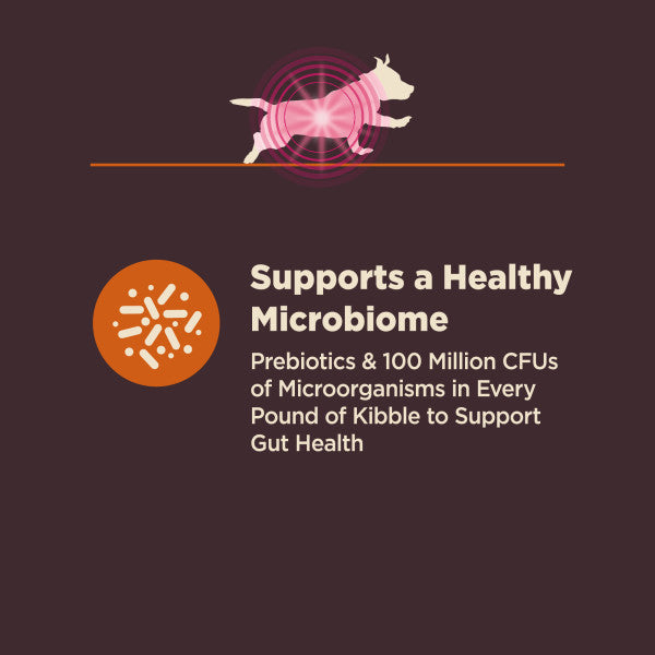 Wellness CORE Digestive Health Small Breed Chicken & Brown Rice