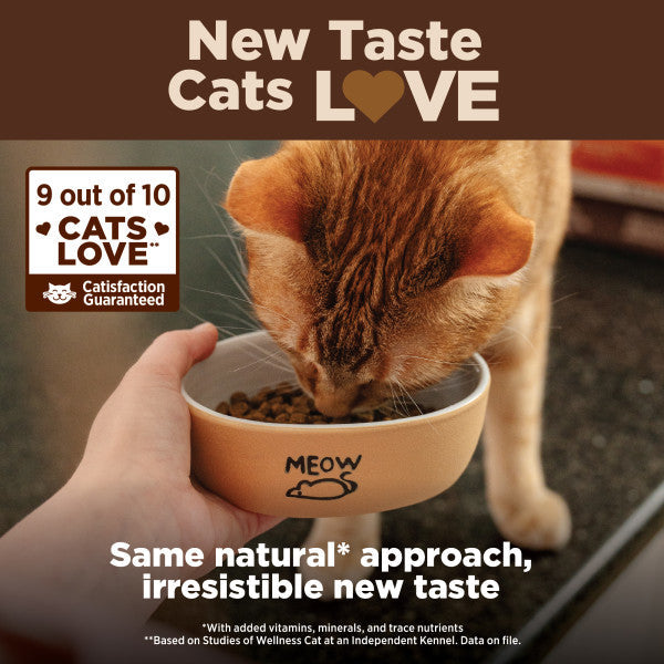 Wellness CORE Natural Grain Free Original Turkey, Chicken, Whitefish & Herring Recipe Dry Cat Food