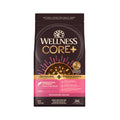 Wellness CORE+ Sensitive Skin & Stomach Salmon & Rice Recipe Dry Dog Food