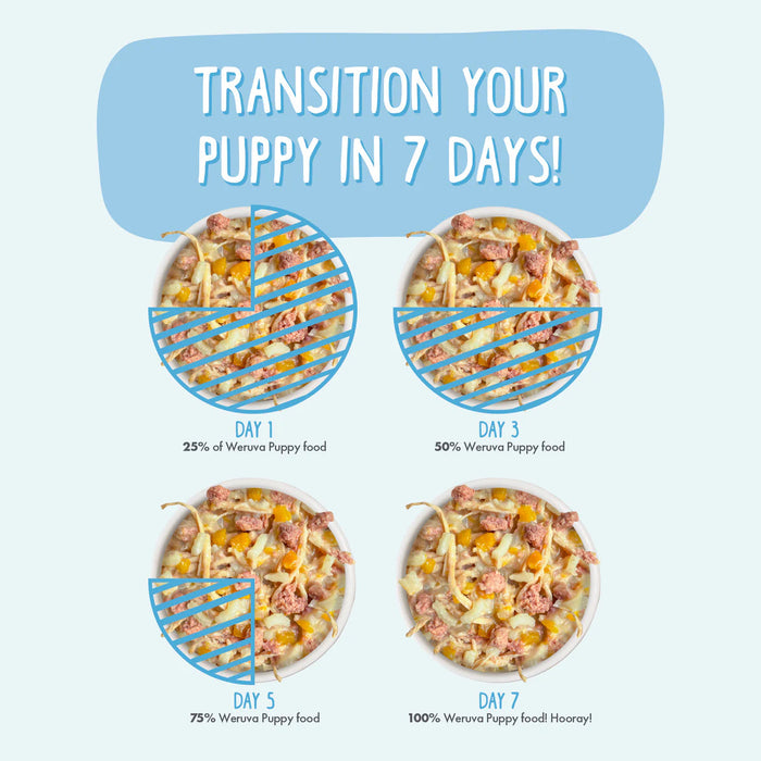 Weruva Chicken & Rice Formula in Gravy Wet Dog Food