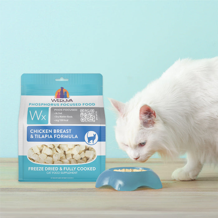 Weruva Wx Phos Focused Chicken Breast & Tilapia Freeze Dried Formula for Cats