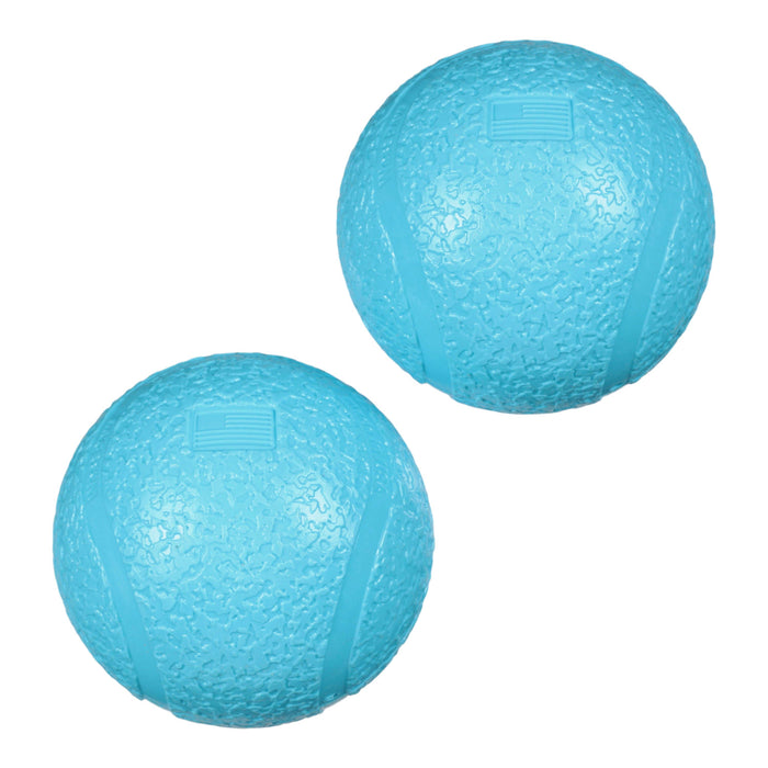 West Paw - *Puppy* Bubblegum/Aqua Boundr® 2-Pack Dog Toy Ball: Aqua