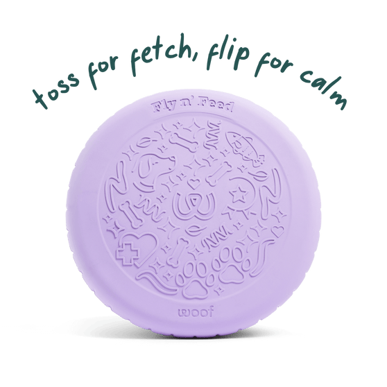 Woof Fly n' Feed Dog Toy