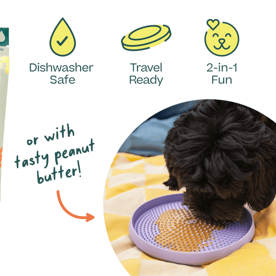 Woof Fly n' Feed Dog Toy