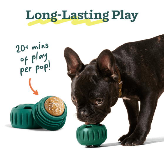 Woof Jingle Pops Dog Treats
