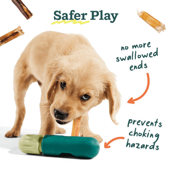 Woof The BullySafe Chew Holder Dog Toy