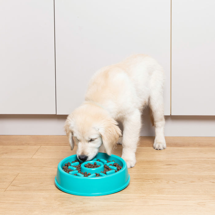 Zippy Paws Happy Bowl Donut Slow Feeder Dog Bowl